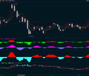  裁判判罚引争议，赛后复盘聚焦热点