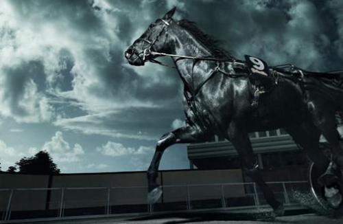  黑马奇迹仍在延续书写传奇篇章